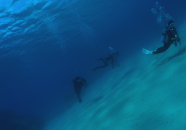 d0065247_2104116.jpg