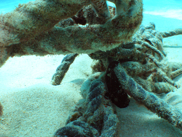 d0065247_214065.jpg