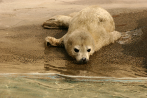 e0080452_2133827.jpg