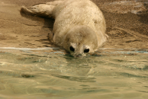 e0080452_2143095.jpg