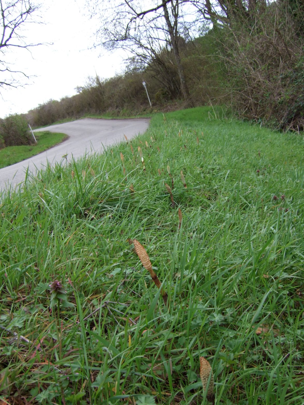 e0104154_1205360.jpg