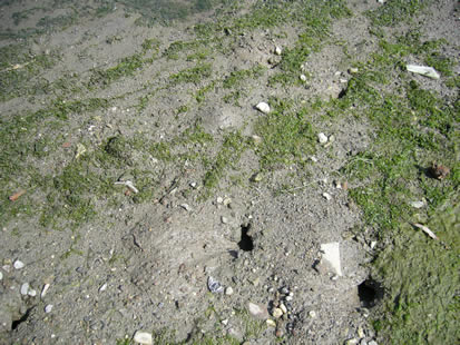 f0067354_020271.jpg