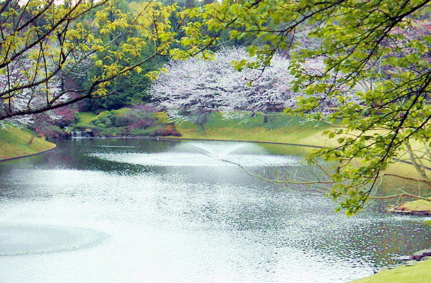 c0031856_23171427.jpg
