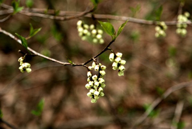 f0044056_16593011.jpg