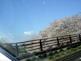 d0029958_18432121.jpg