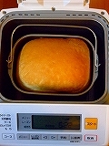 c0078264_1124577.jpg