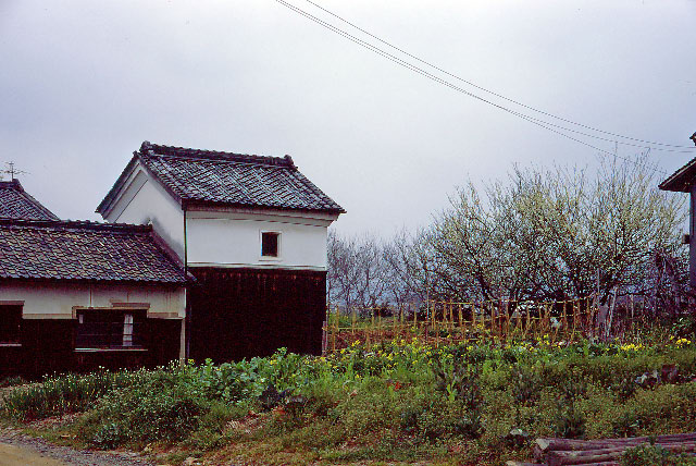 e0100772_2318676.jpg