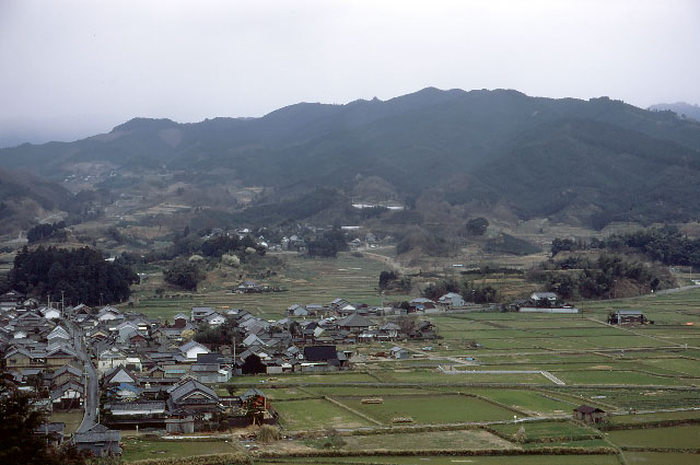 e0100772_2384810.jpg