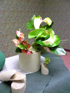 f0011875_1545250.jpg