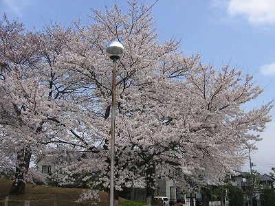 a0038882_1133513.jpg