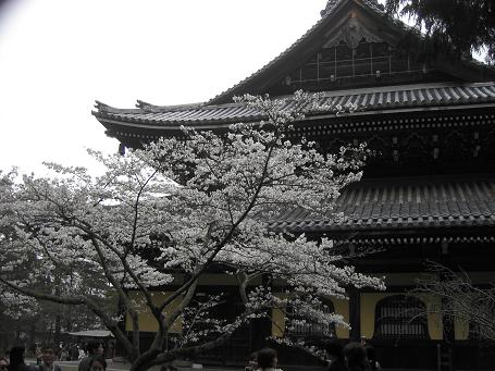 c0082888_2344546.jpg