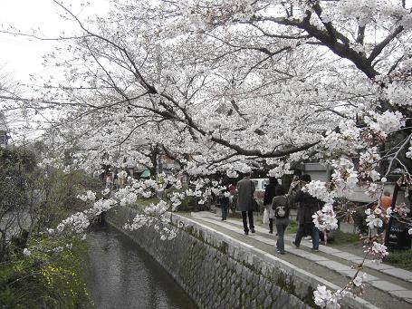 c0082888_2393811.jpg