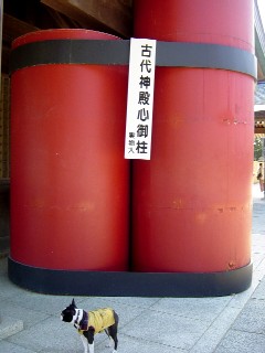 e0110089_2358489.jpg