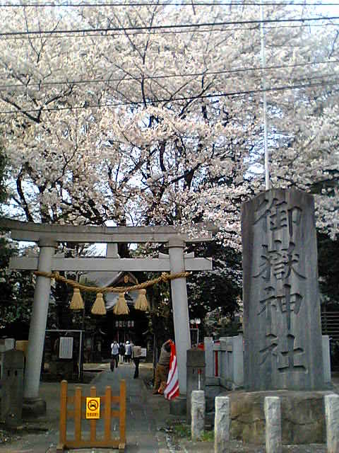 f0126492_2251815.jpg
