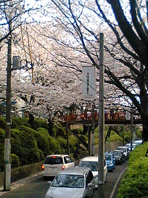 f0126492_226090.jpg