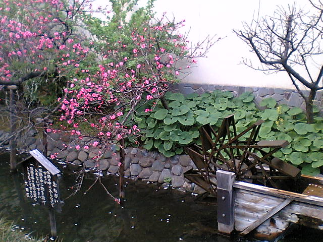 f0126492_227243.jpg