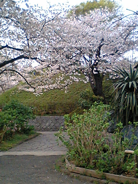 f0126492_2272815.jpg