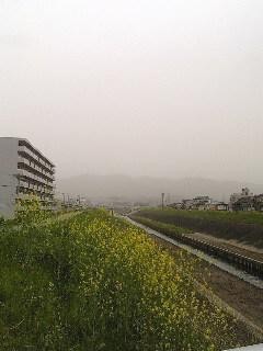 e0111793_9551858.jpg