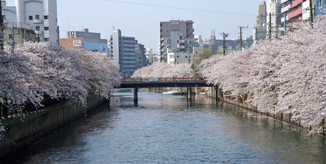 c0025895_1362489.jpg