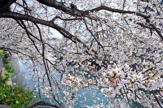 c0025895_1373933.jpg