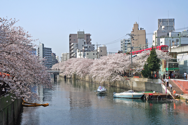 c0025895_1375286.jpg