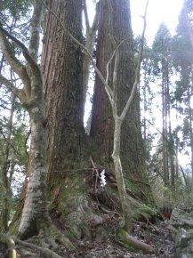 e0019696_2275432.jpg