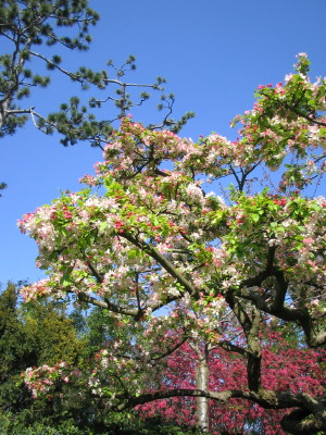 c0005899_16473612.jpg