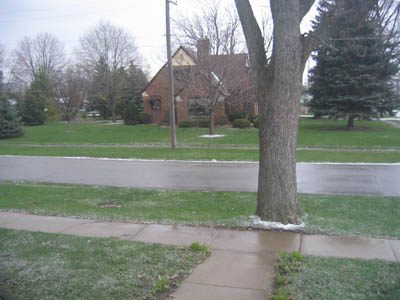 f0014600_12241836.jpg