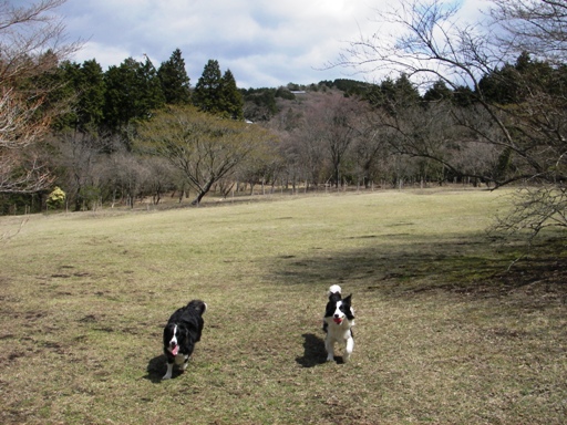 f0034602_20184341.jpg