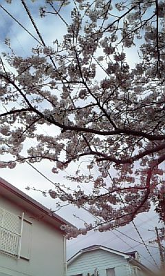 a0013905_23512329.jpg