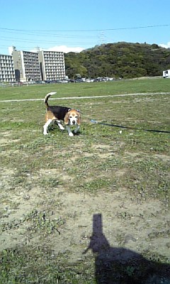 a0013905_23521465.jpg