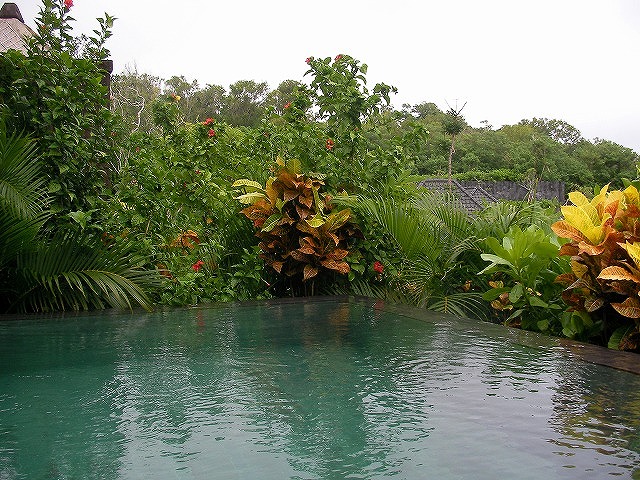 a0024307_1452453.jpg