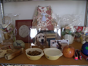 a0033507_1153153.jpg