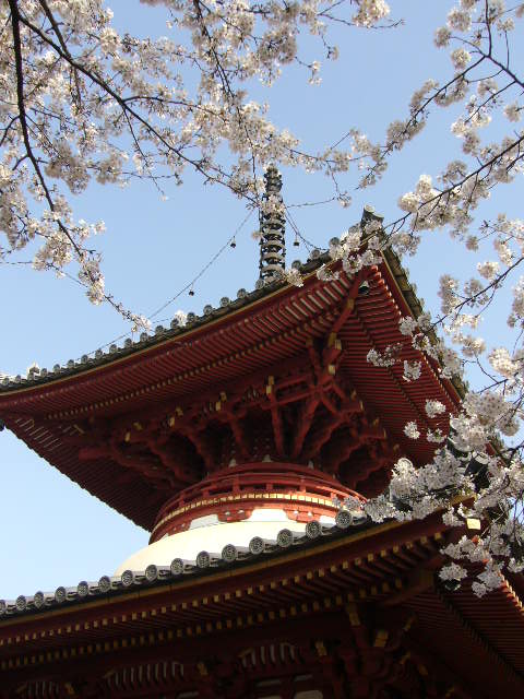 e0015108_317336.jpg