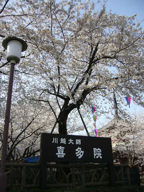 e0015108_343417.jpg