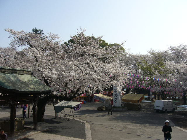 e0015108_365958.jpg