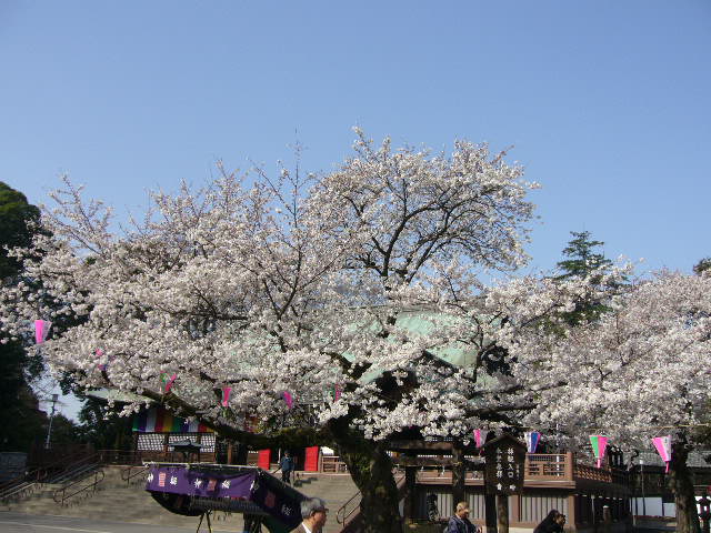 e0015108_374719.jpg