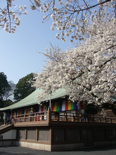 e0015108_39851.jpg