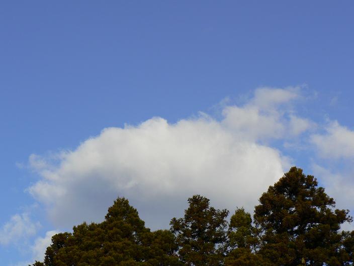 c0086014_6591832.jpg