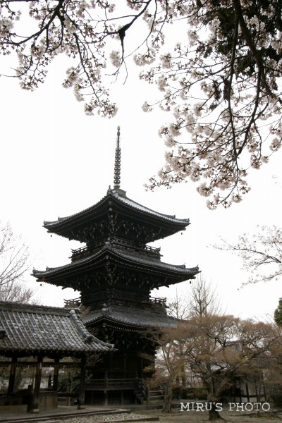 c0037519_9331255.jpg