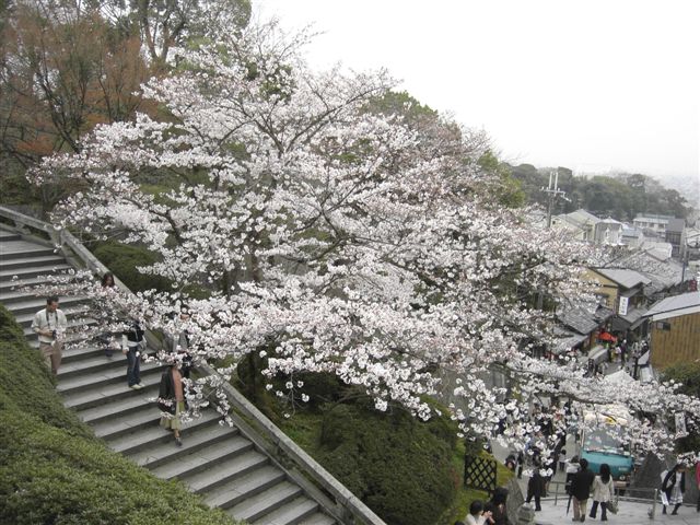 f0013519_2175339.jpg