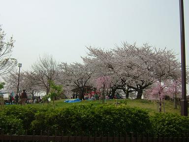 a0089120_22184216.jpg