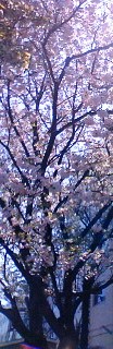 d0024220_16184398.jpg