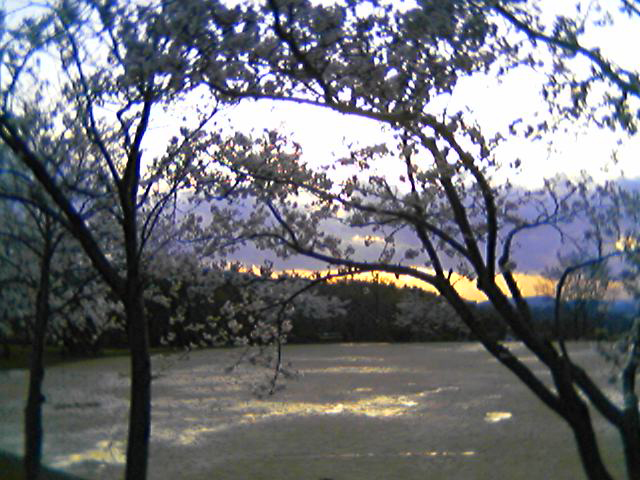 e0016120_1664588.jpg