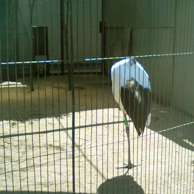 e0032528_2241133.jpg