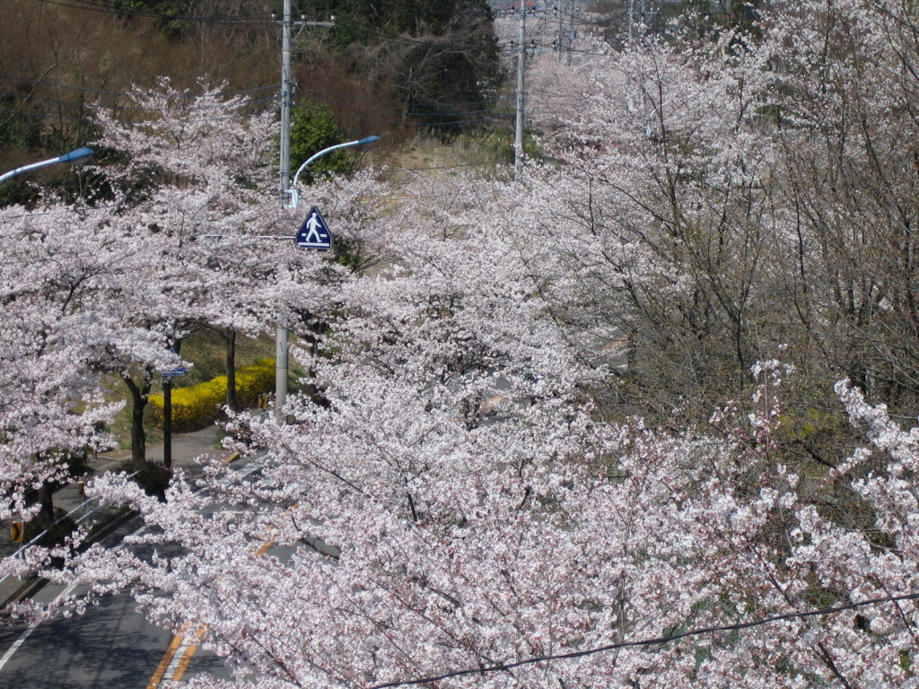 a0015730_22293491.jpg