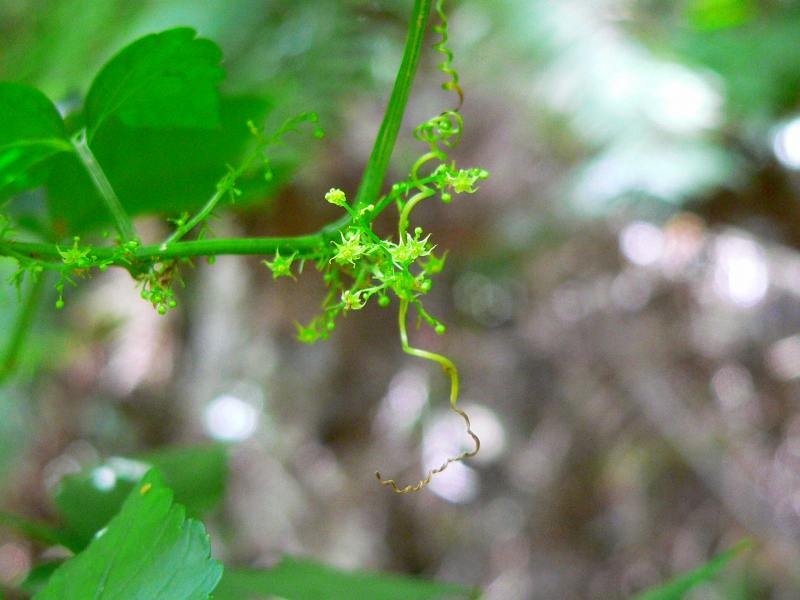 d0053930_805261.jpg