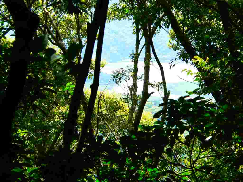 d0053930_885620.jpg