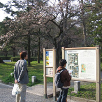 d0033734_11345380.jpg