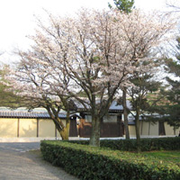 d0033734_113551100.jpg